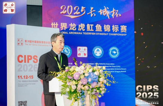 1763698581274922.png image.png